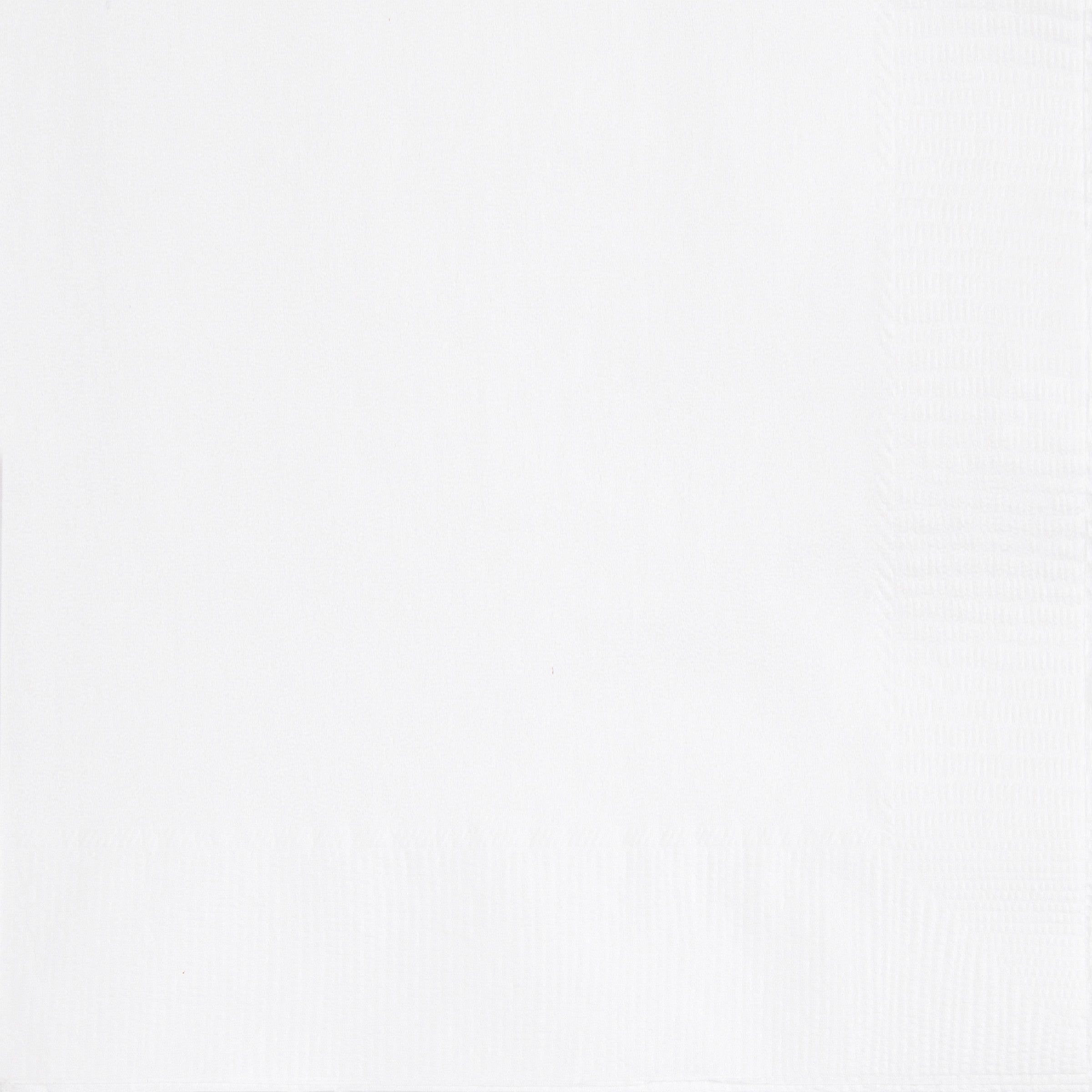 40 White Luncheon Napkins  2 Ply 12.75x12.75in 