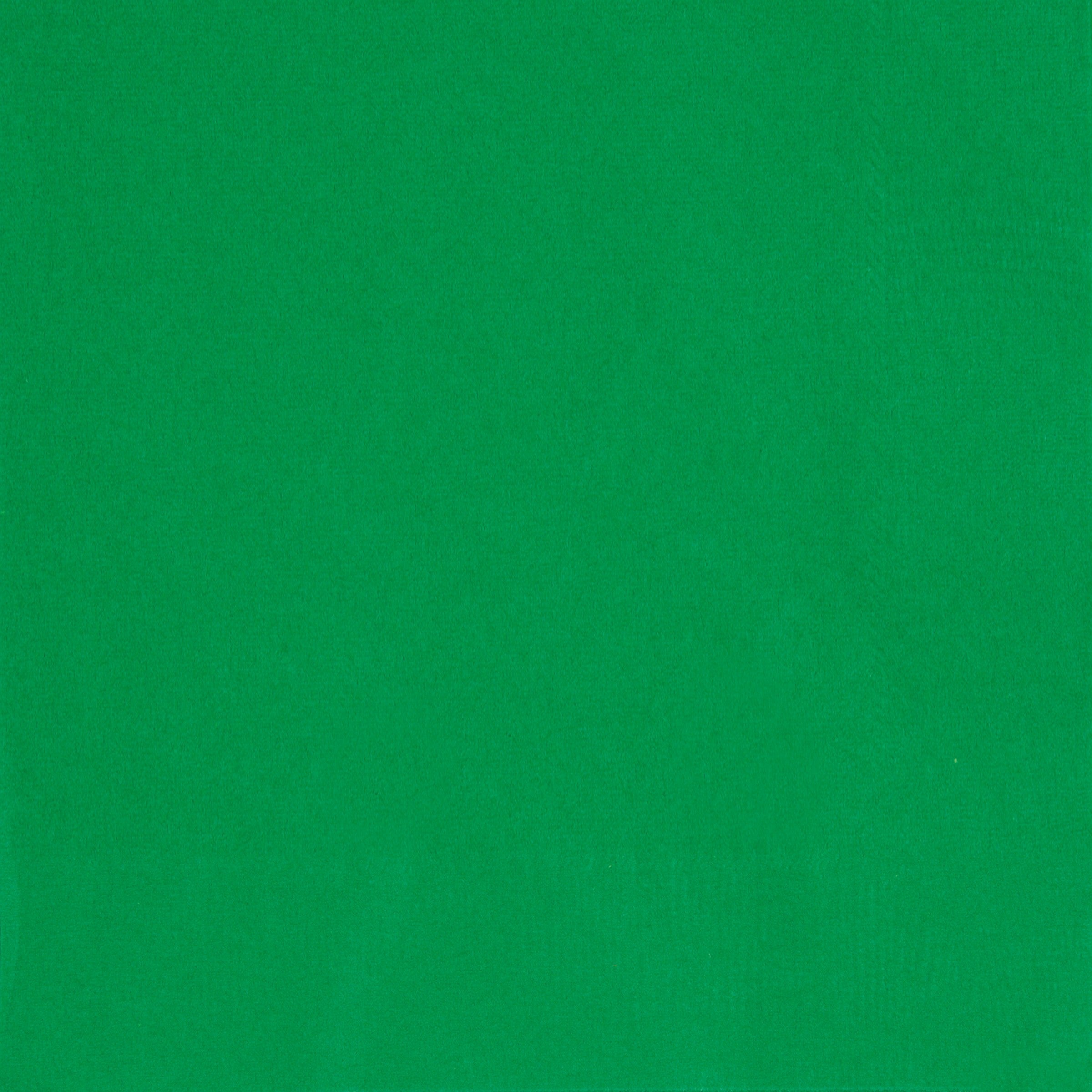 50 Emerald Green Beverage Napkins 2 Ply 9.75x9.75in