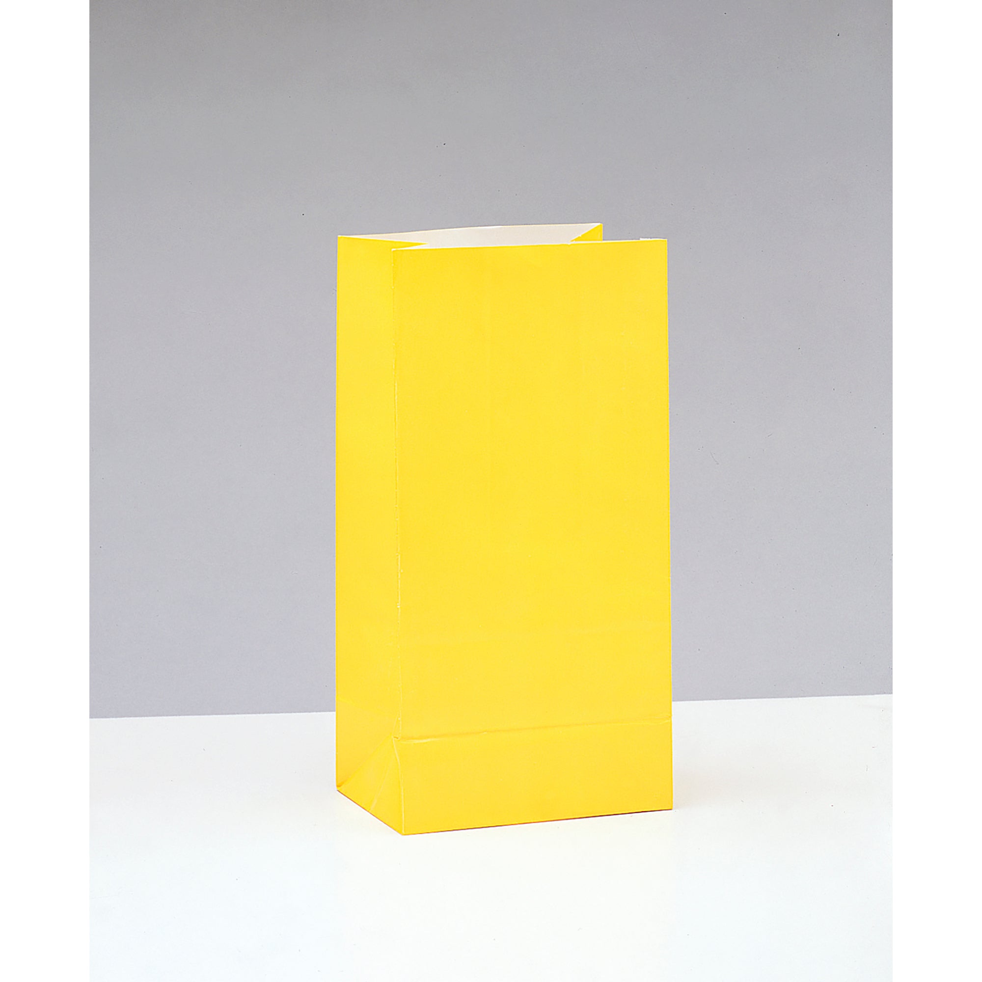 10 Party Paper Bags Assorted Neon 10H x 5W in
