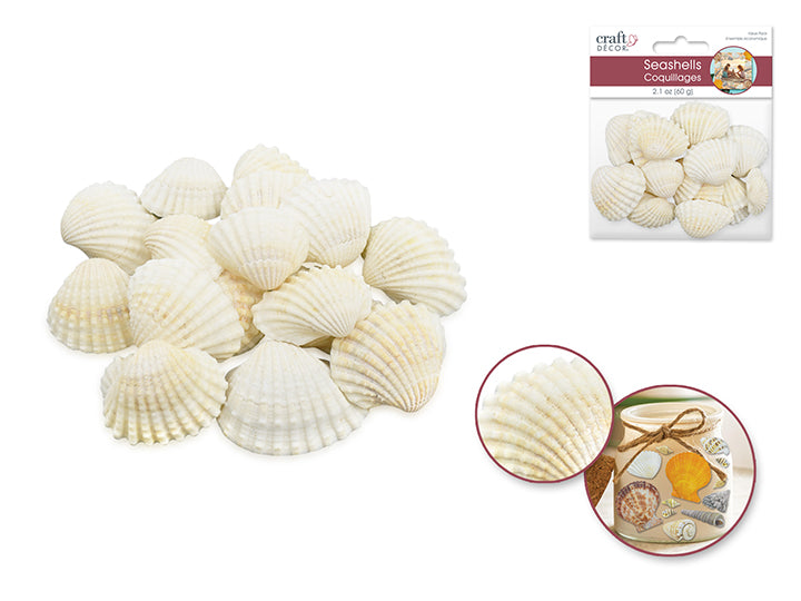 Natural Seashells 60g White Shell