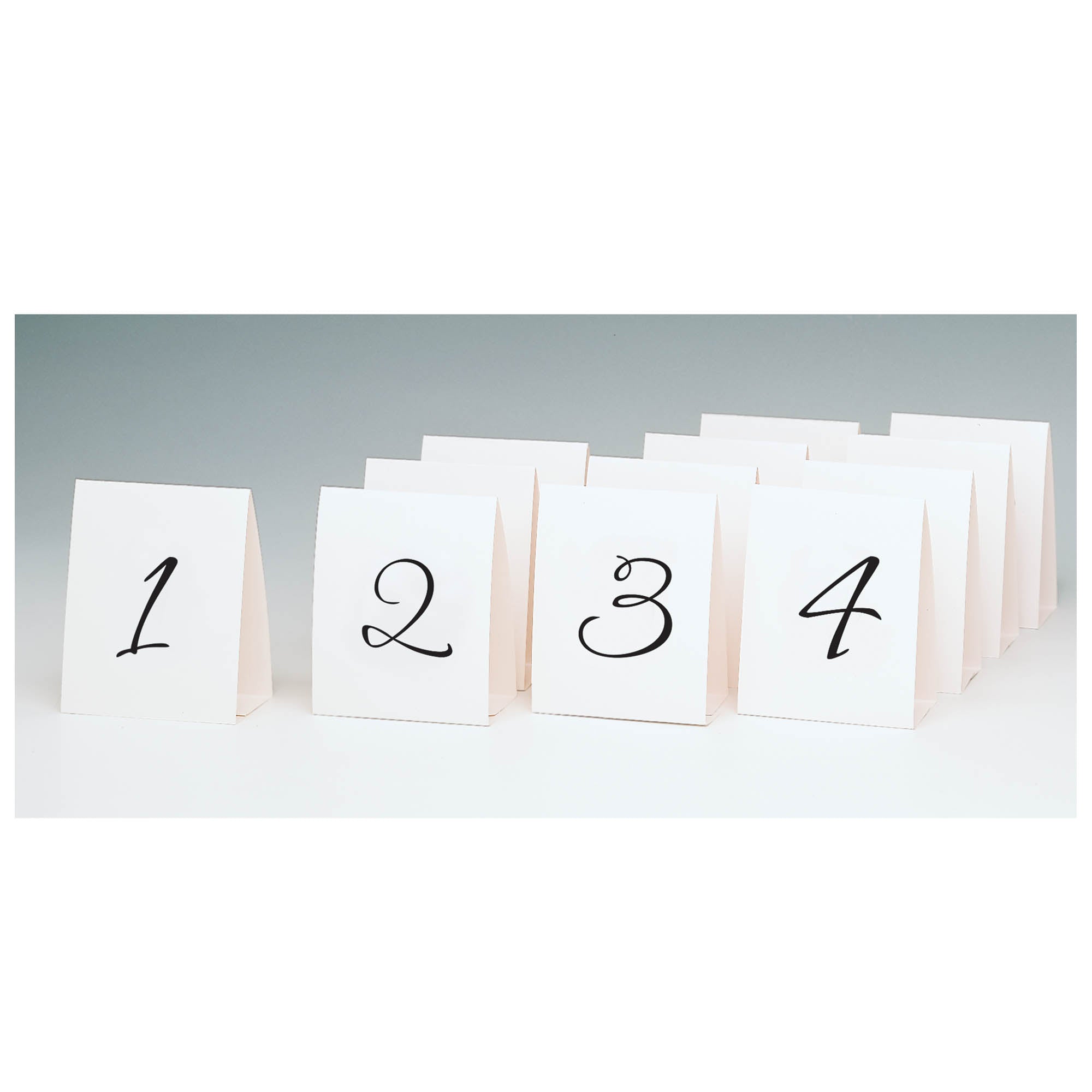 12 Folded Table Number Tent Place Cards  5x4in 