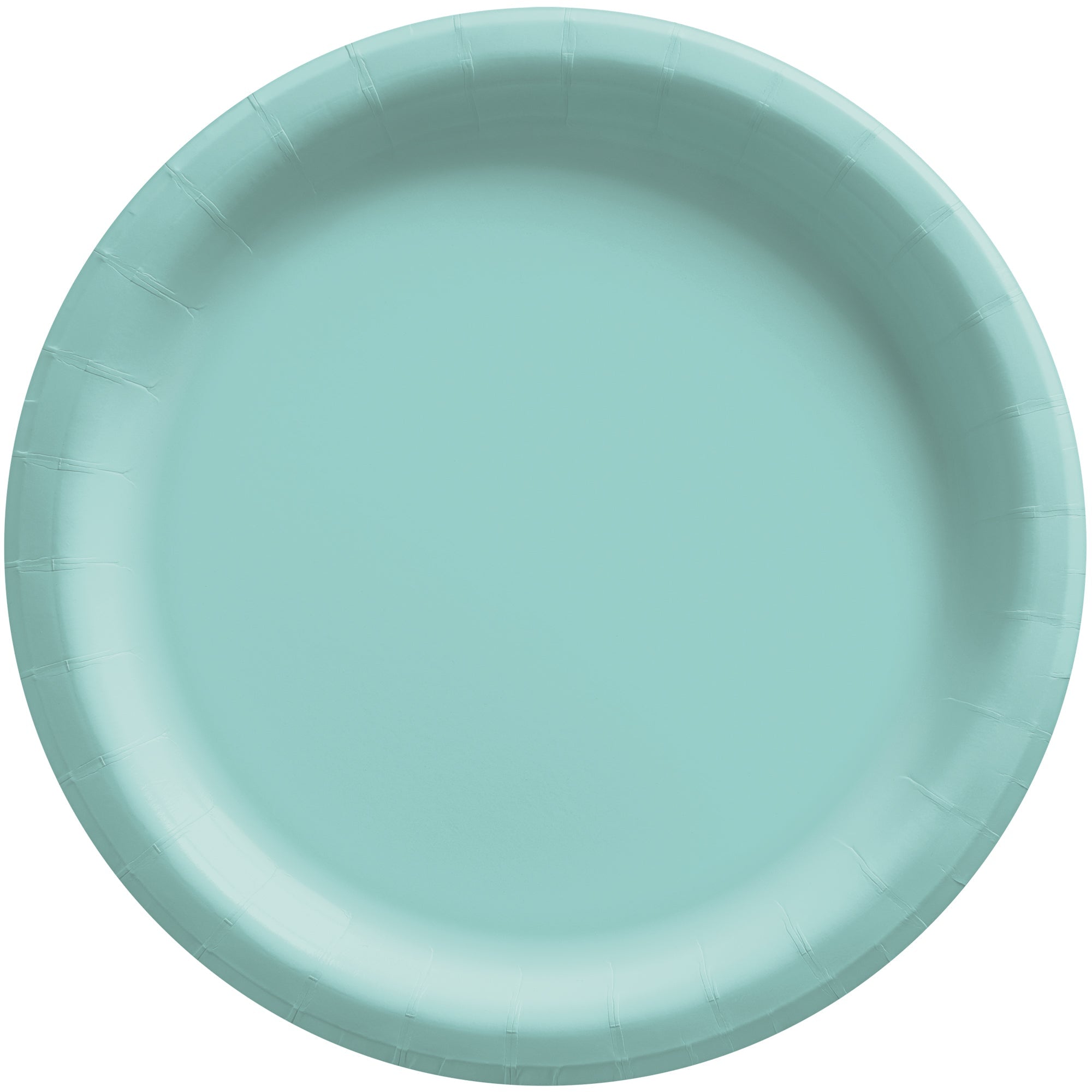 Round Paper Plates  Robin Egg Blue  20 Pcs  6.75in