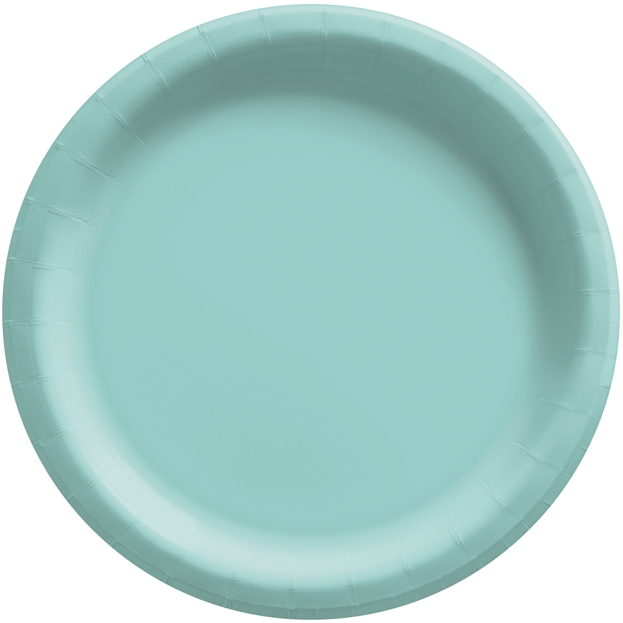 Round Paper Plates  Robin Egg BLue  20 Pcs  8.5in