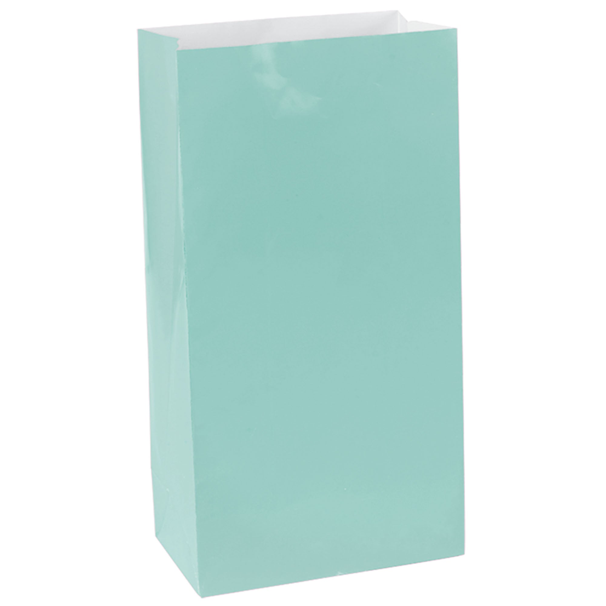 12 Mini Packaged Paper Bags  Robin Egg Blue  6.5x3x2in