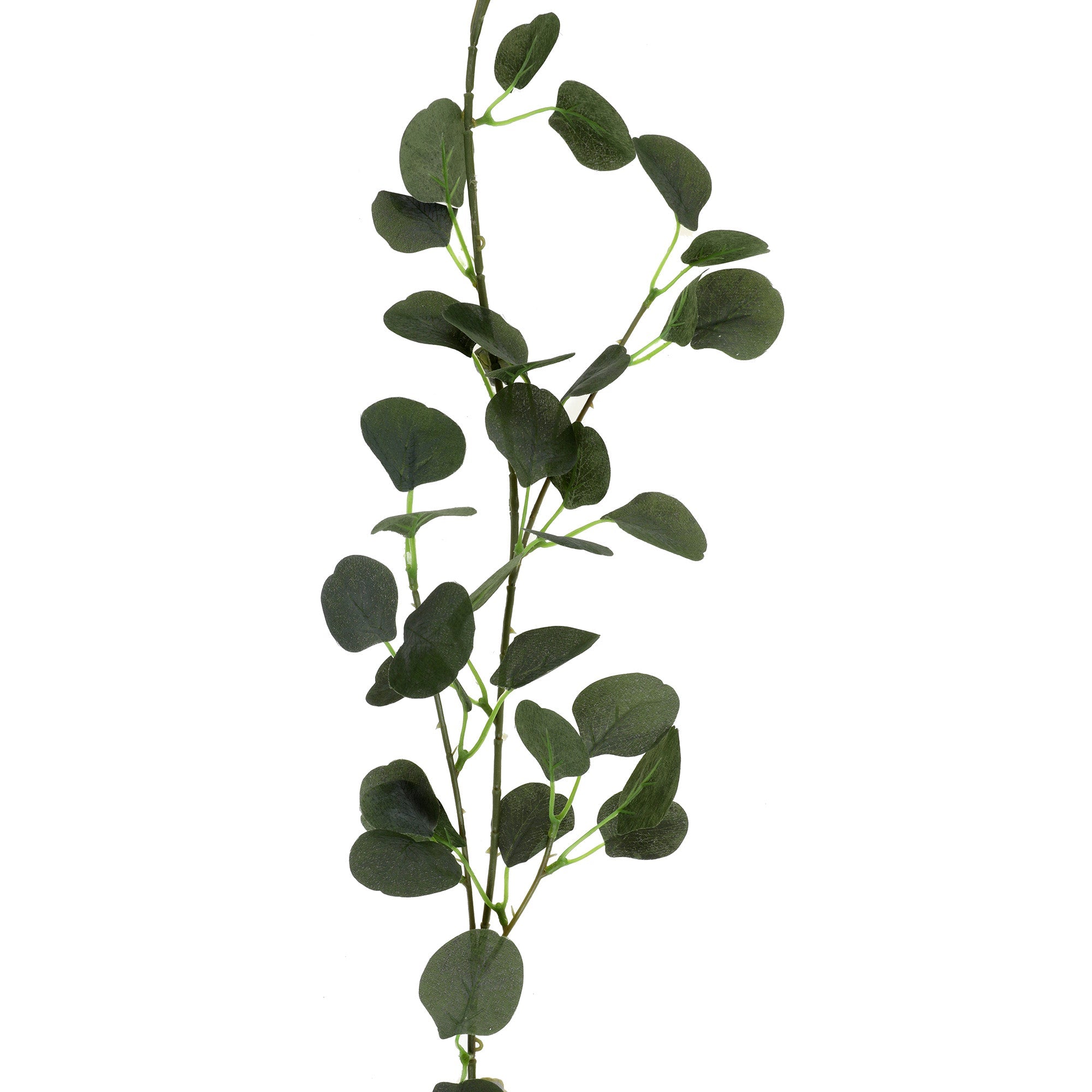 Eucalyptus Garland Green 55in