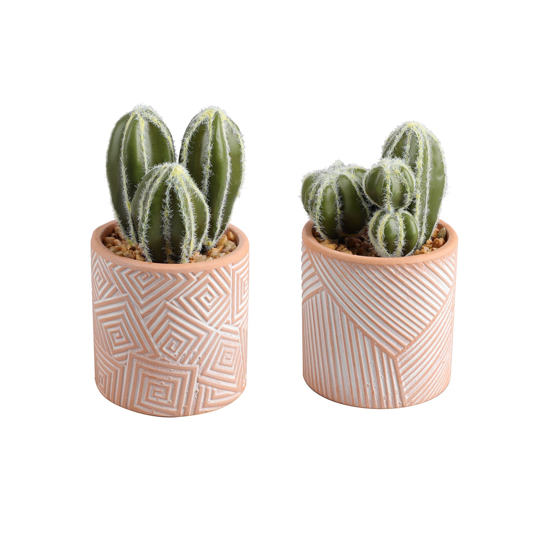 Foam Cactus in Terracotta Pot 5.5in