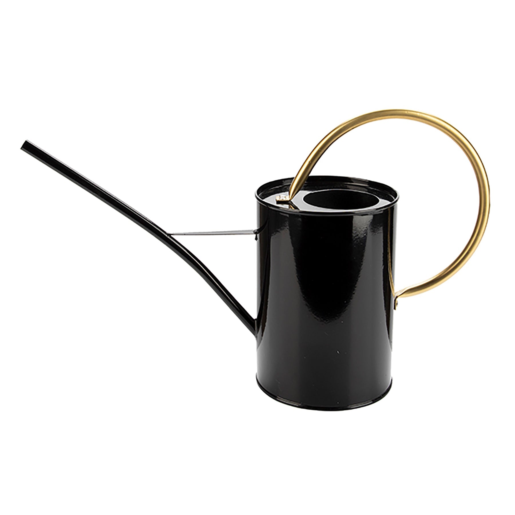 Black Metal Watering Can with Golden Handle 2.1L 16in