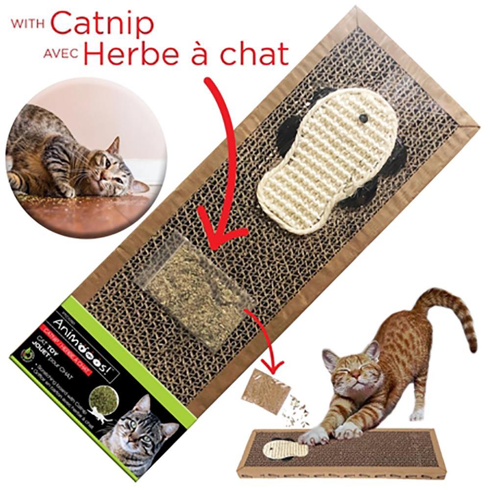 Scartching Post With Cat Nip - Dollar Max Depot