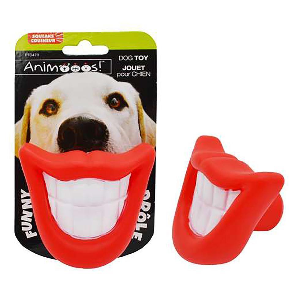 Squeaking Smile Dog Toy - Dollar Max Depot