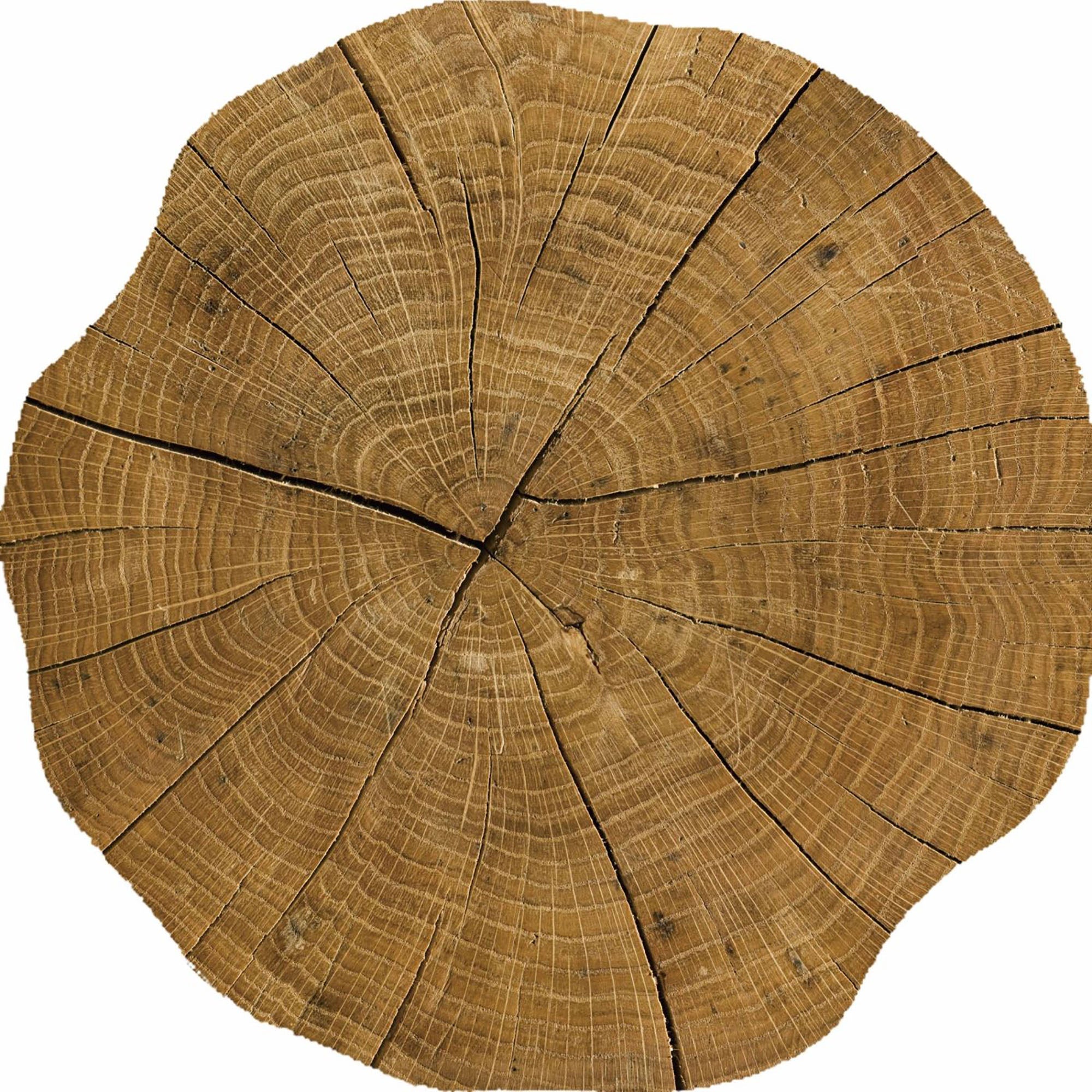 Round Tree Trunk Shape Placemat - Natural 15in dia.
