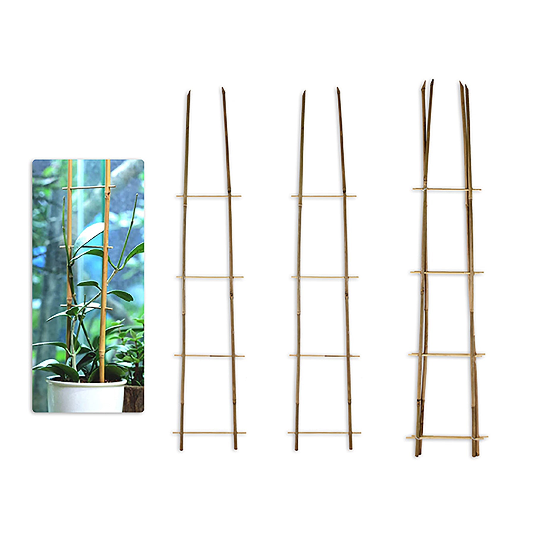 Annie's Garden 2 Bamboo Plant Supports 35.38x6.25in