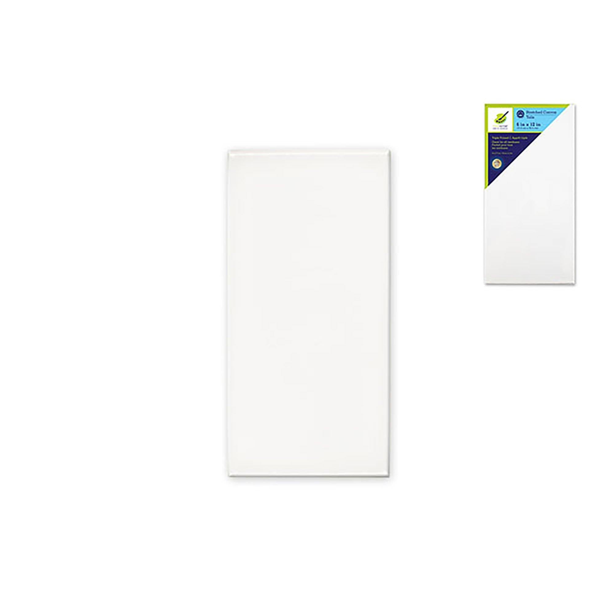 Stretch Artist Canvas: Rect. 6"X12" Primed Back-Stapled Painting Canvas - Dollar Max Dépôt