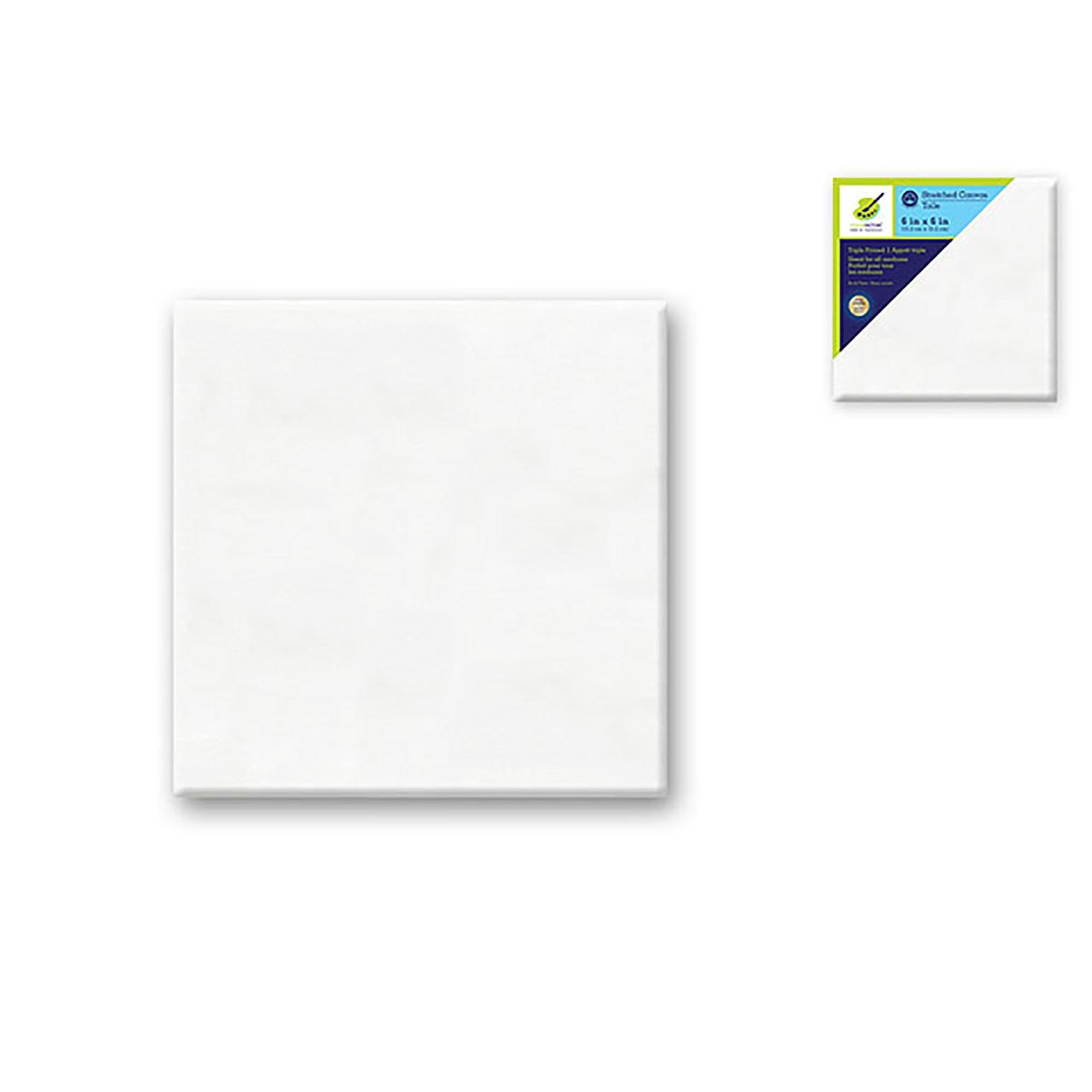 Stretch Artist Canvas: Square 6"X6" Primed Back-Stapled Painting Canvas - Dollar Max Dépôt