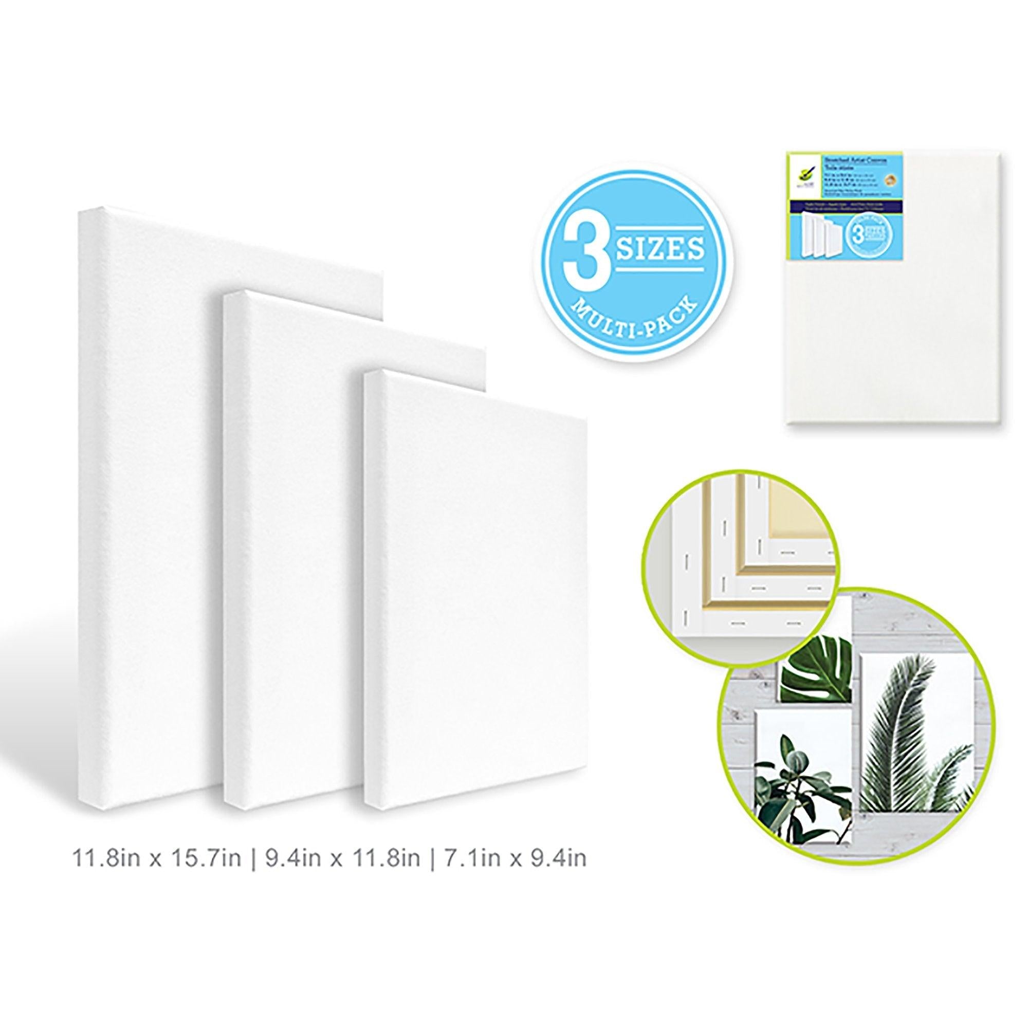 Stretch Artist Canvas: 3 Set Asst Rect Primed Back Stapled - Dollar Max Depot