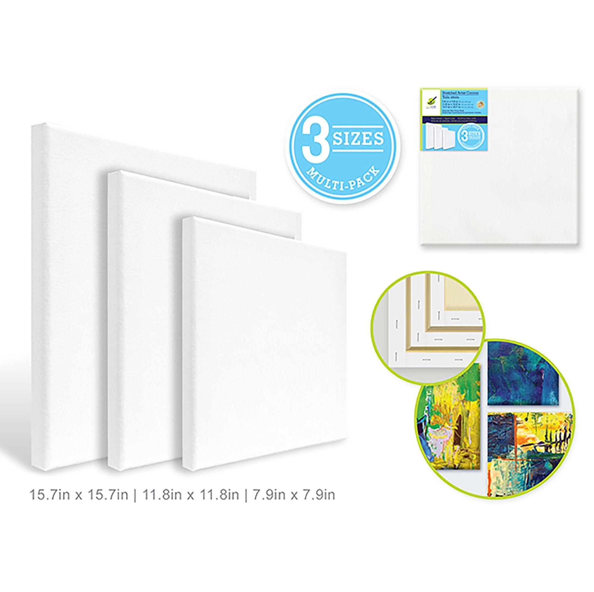 Stretch Artist Canvas: 3 Set Asst Square Primed Back Stapled - Dollar Max Depot