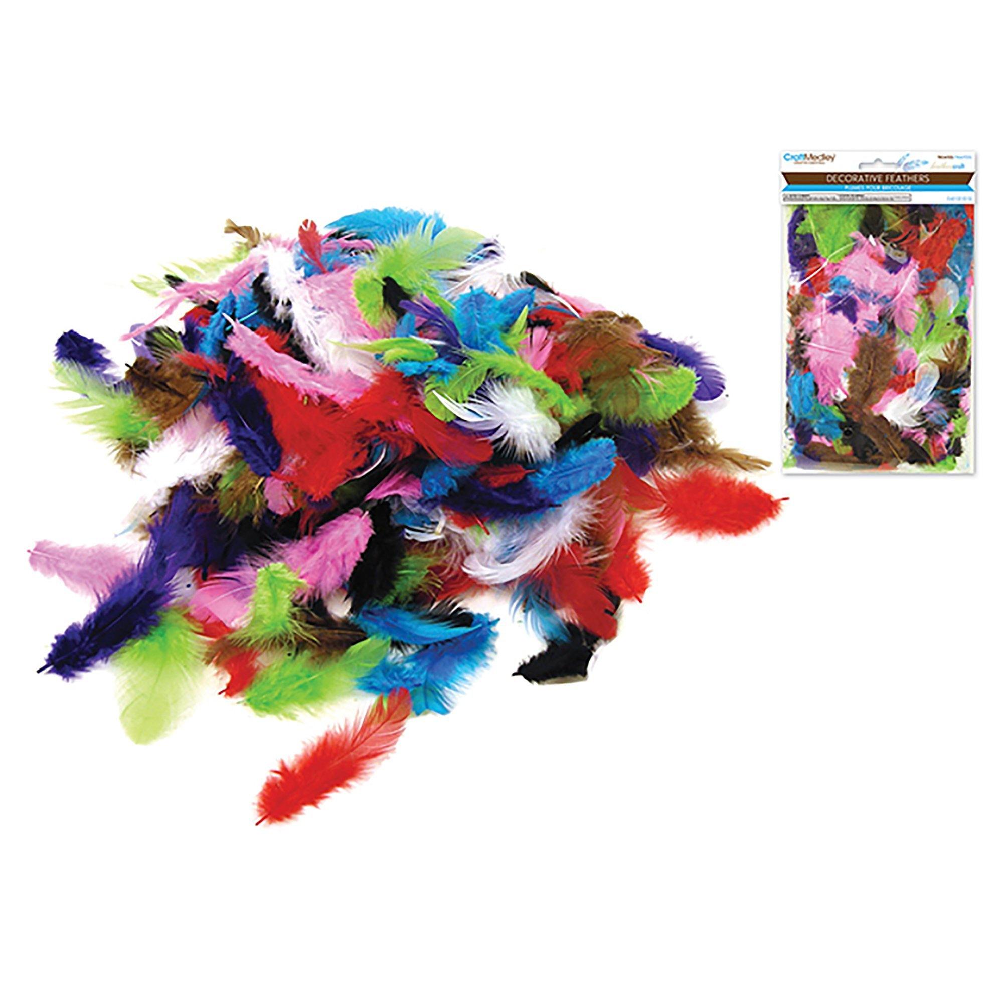 Multi Mix Feather Craft: 12G Craft Feathers 2"-3.5" - Dollar Max Dépôt