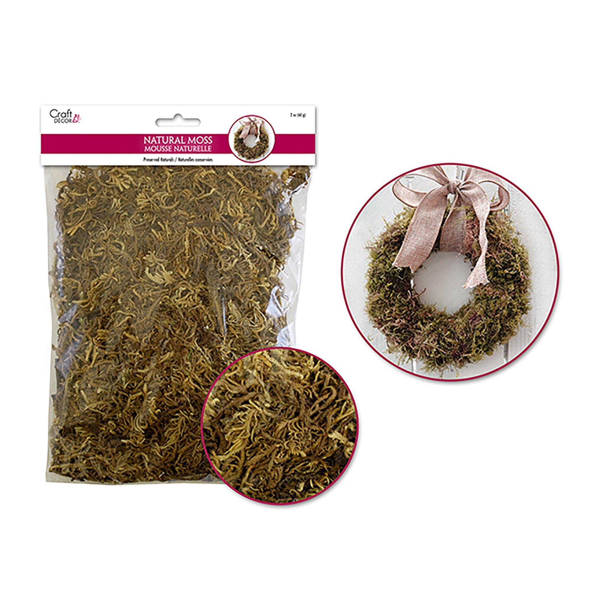 Dried Naturals: 2Oz Natural Indian Moss (60Gm - Dollar Max Dépôt