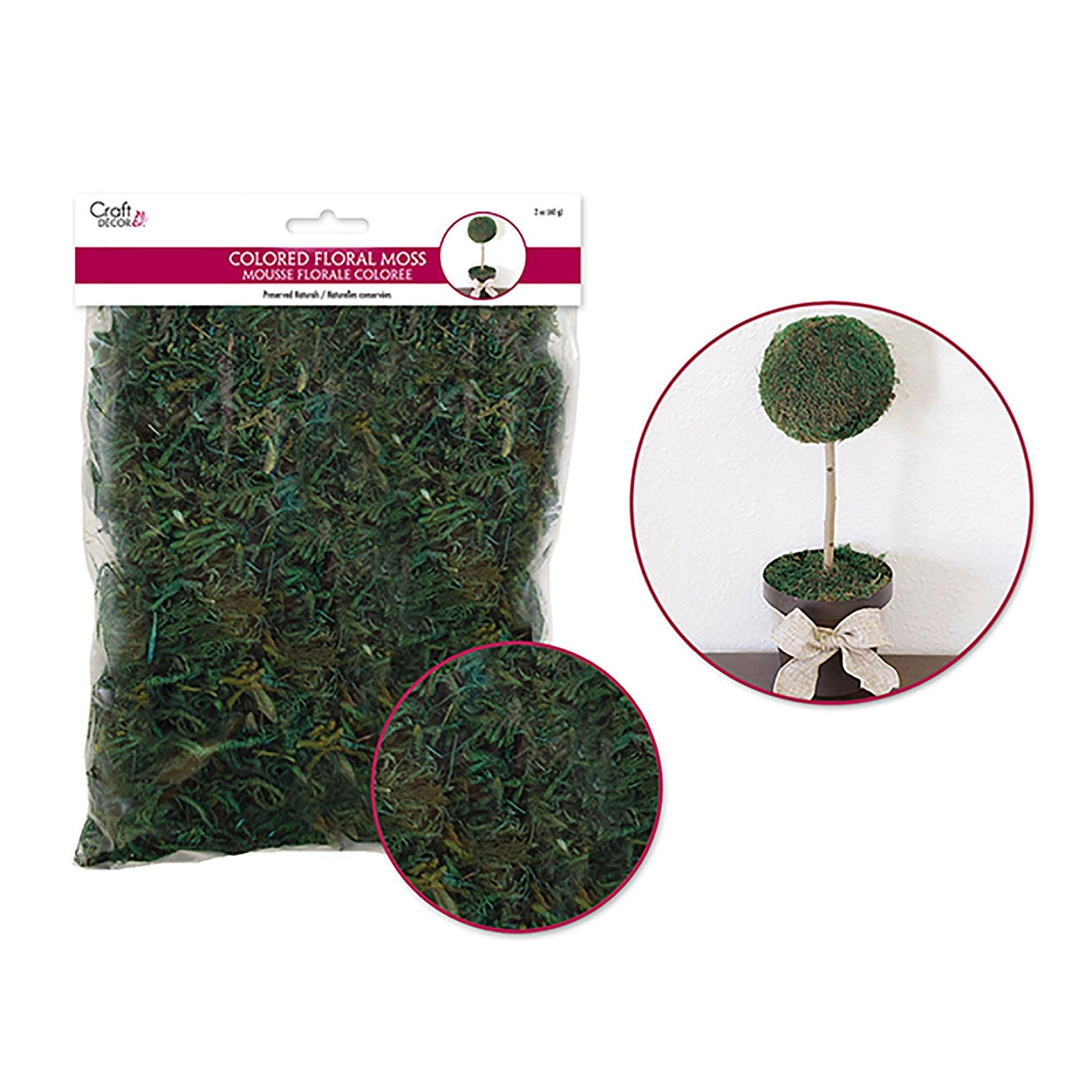 Wild Moss Green Dried Naturals: 2Oz Colored Floral Moss (60Gm - Dollar Max Dépôt