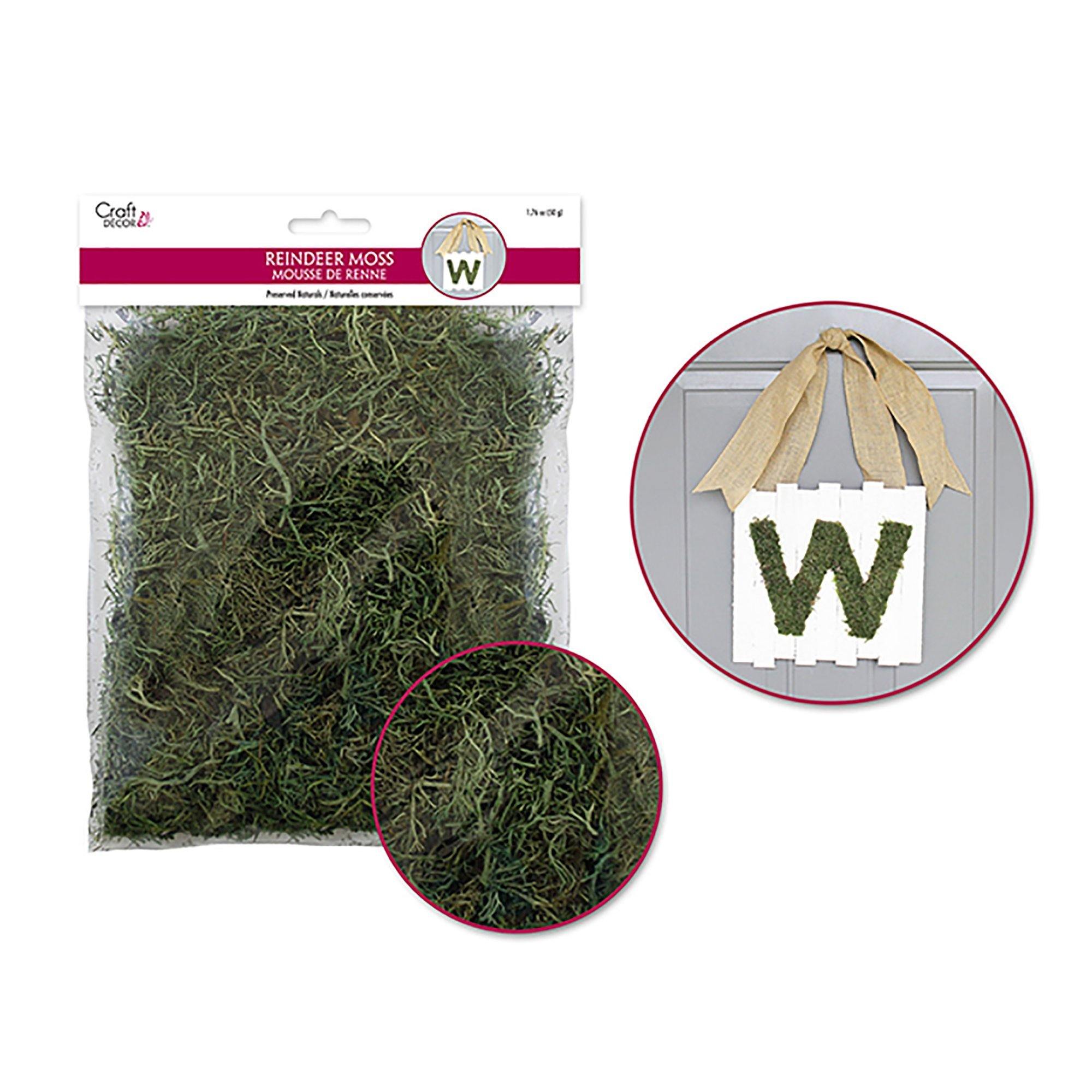 Dried Naturals: 50G Reindeer Moss Green - Dollar Max Dépôt