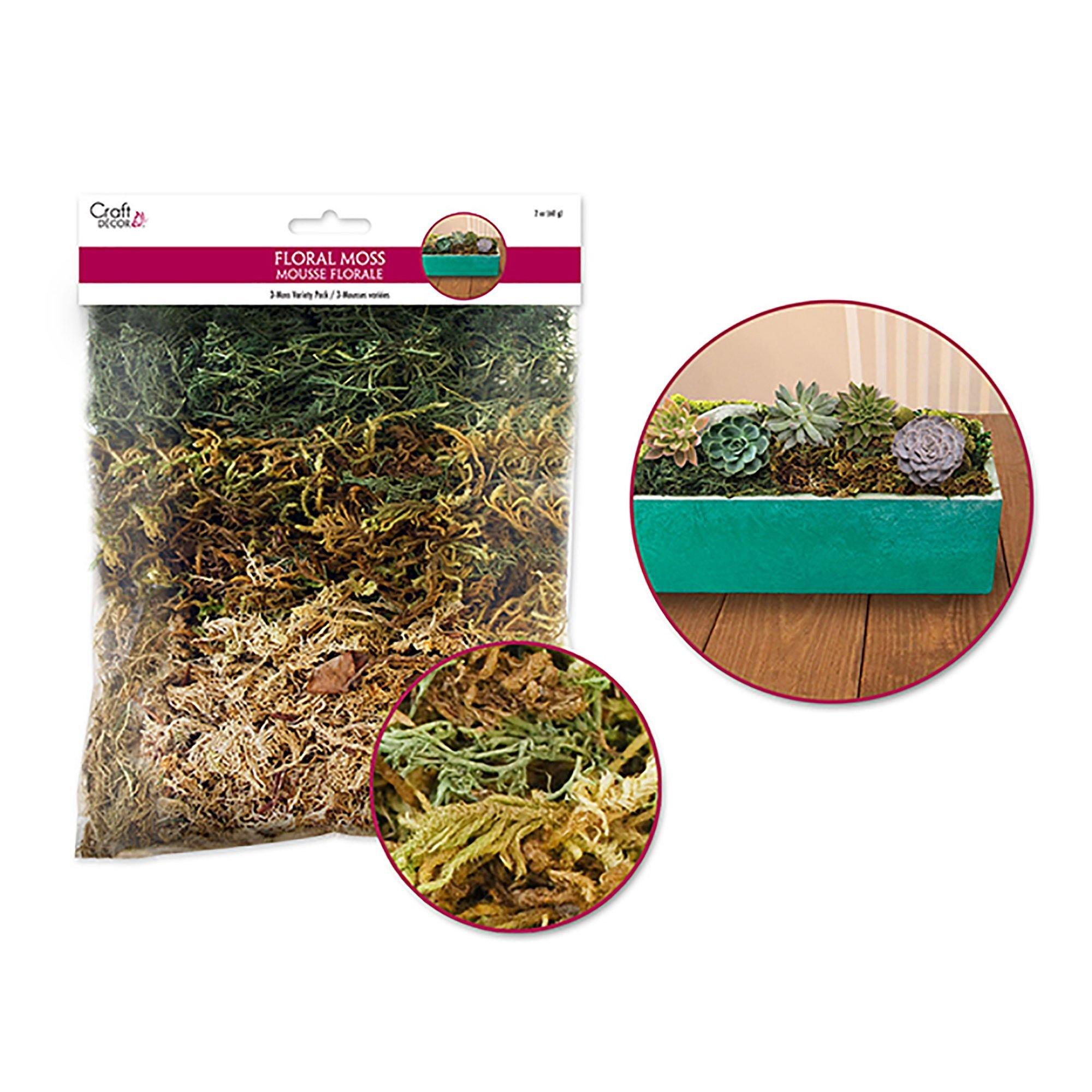 Dried Naturals: 2Oz 3-Moss Variety Pack (60G - Dollar Max Dépôt