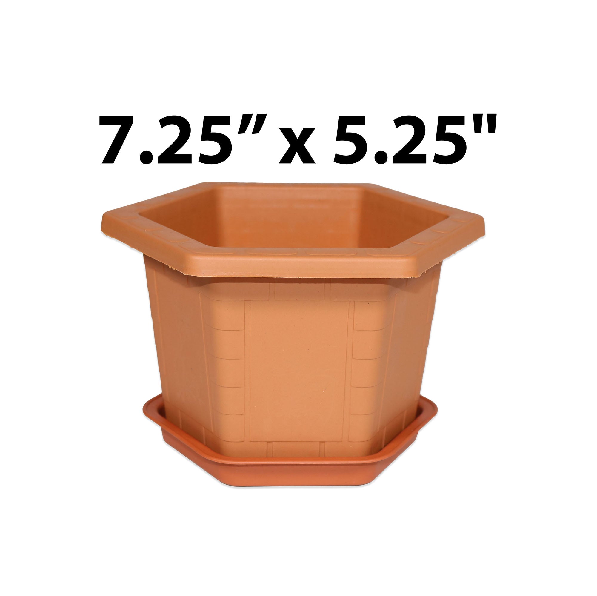 Hexagonal Flower Pot with Saucer 7.25x5.25in